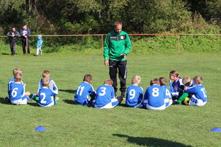 星空娱乐客服-篮球梦让中国更有力量，以篮球梦想为话题写一篇600字作文